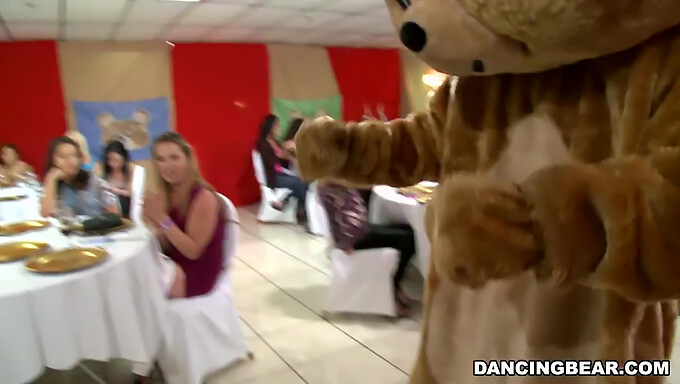 Unisciti Ai Festeggiamenti Con Il Famoso Orso Danzante In Questo Video Di Gruppo In Hd!