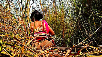 Desnudez Pública Y Meadas En La Selva India Hd Con Una Joven Bhabhi Amateur