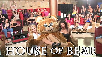 Bear-Themed Party With Dancing And Cfnm Activities Featuring Big Black Cocks And Horny Women Blowing And Fucking